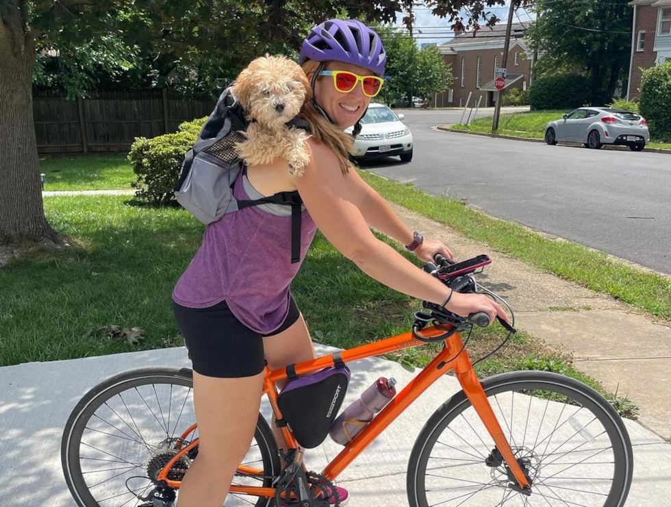 1280 East West Highway Cavapoo Pup