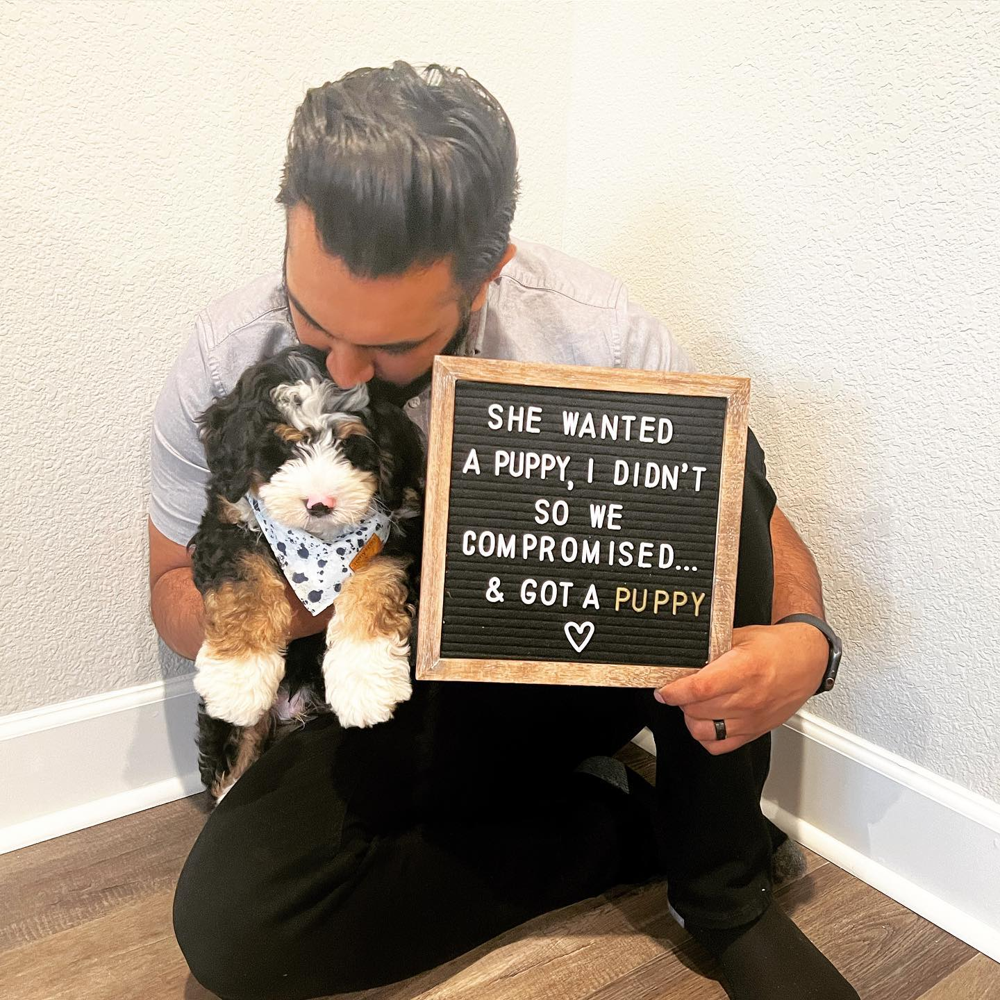 Petite Mini Bernedoodle Poodle Mix Pup