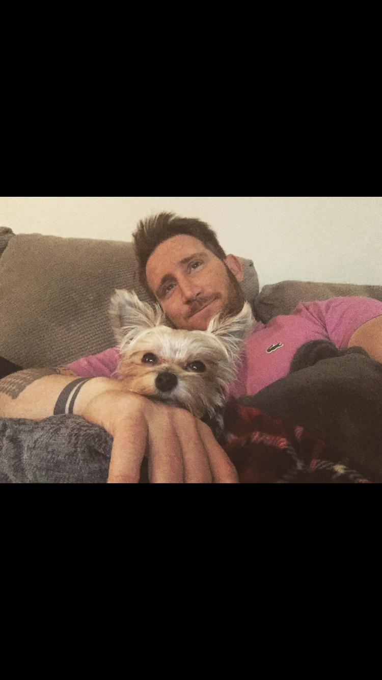 Morkie Pup Being Cute