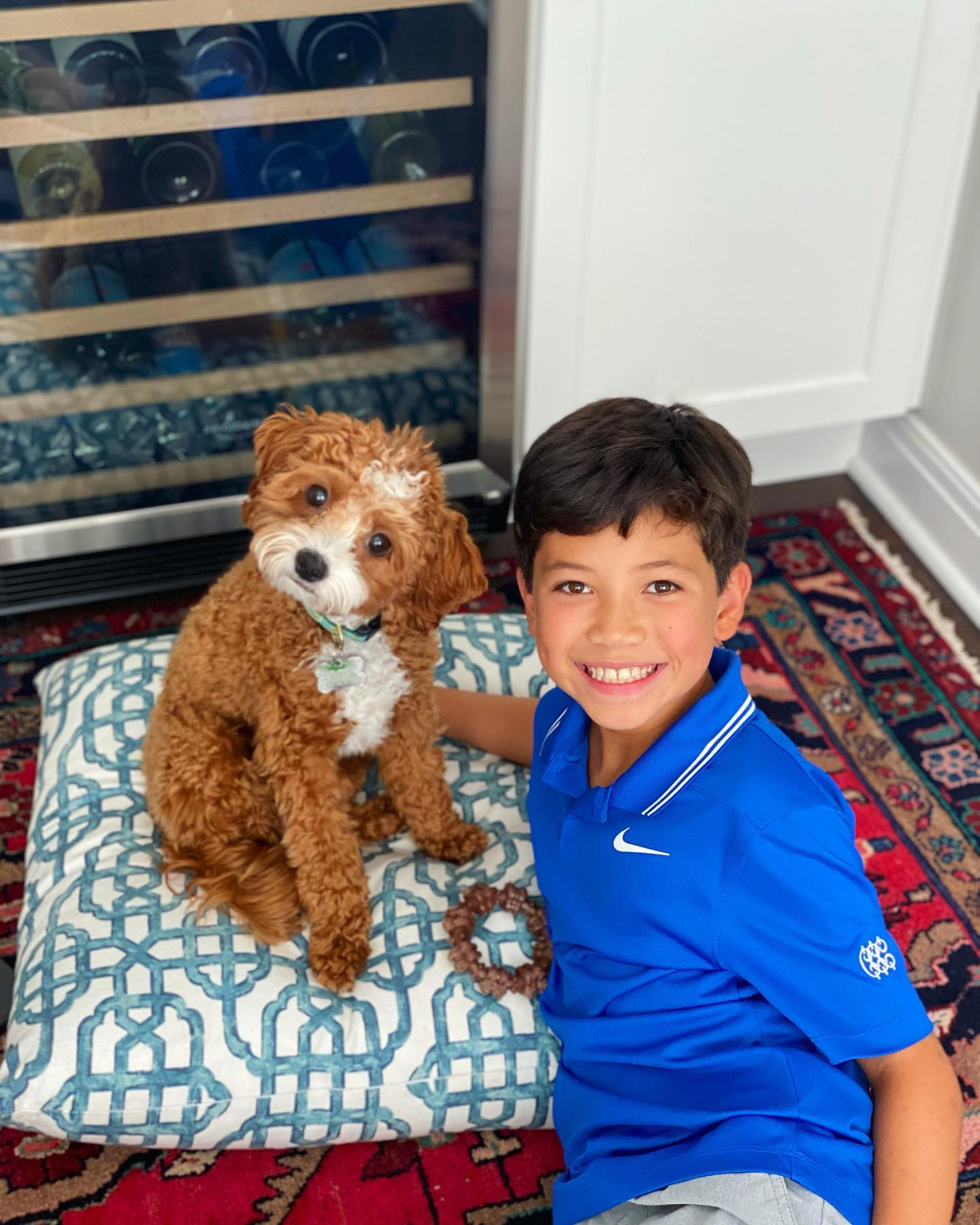 Cavapoo Puppy for Adoption