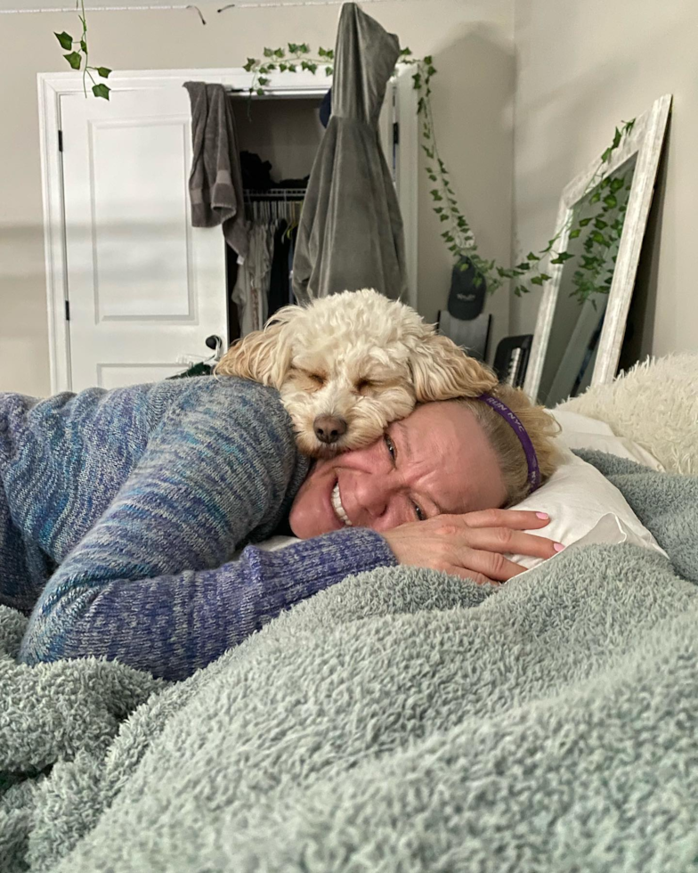 Happy Cavapoo Pup