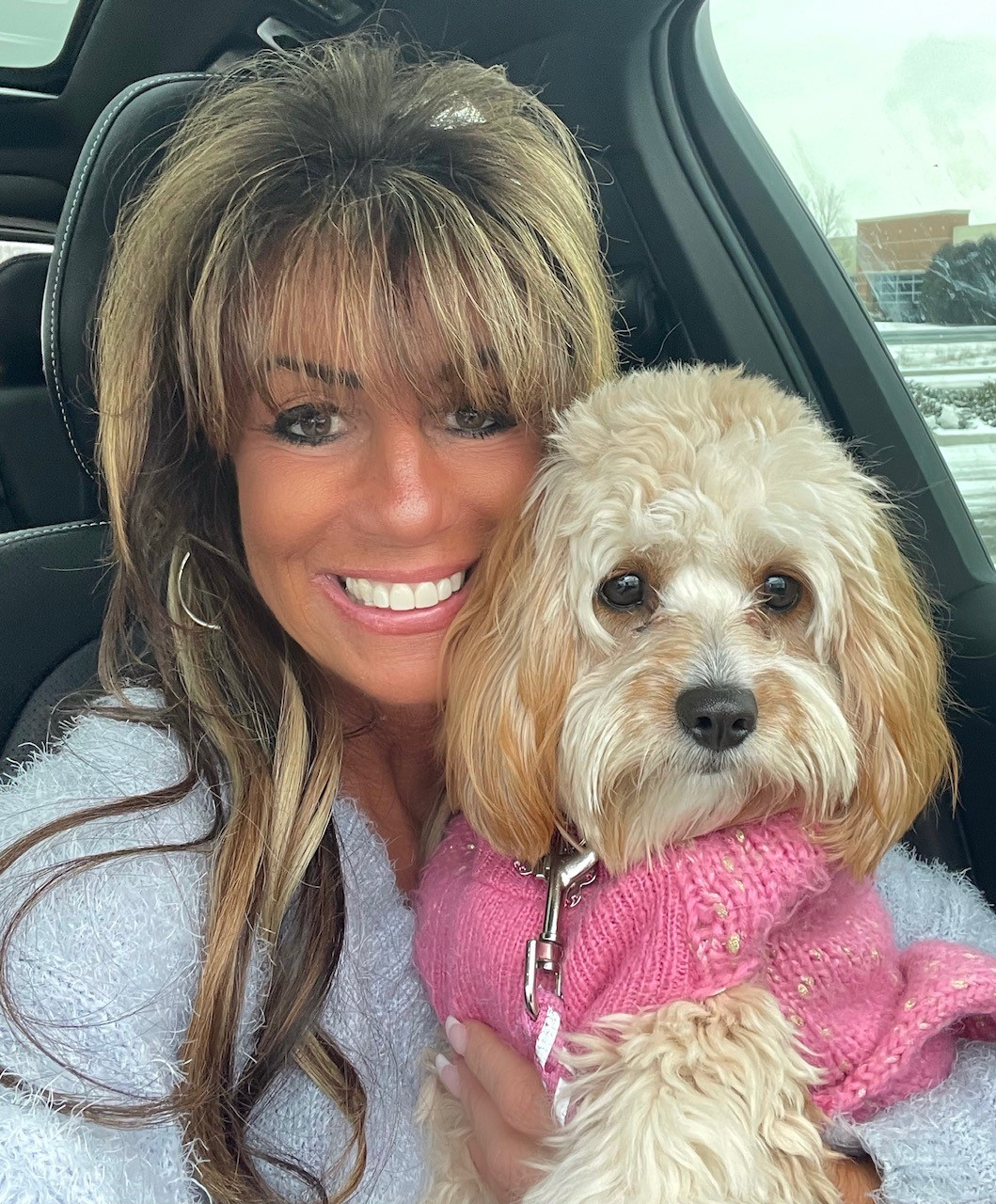 Cavapoo Pup Being Cute