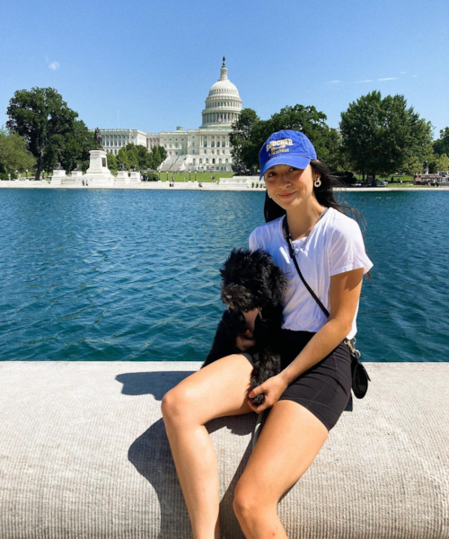 WASHINGTON Mini Sheepadoodle Pup