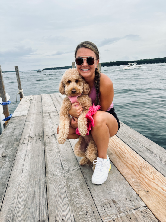 Happy Mini Goldendoodle Pup in