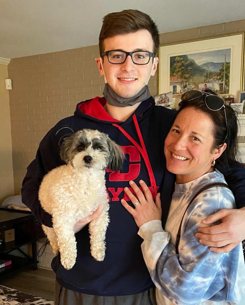 Hypoallergenic Havanese Purebred Pup