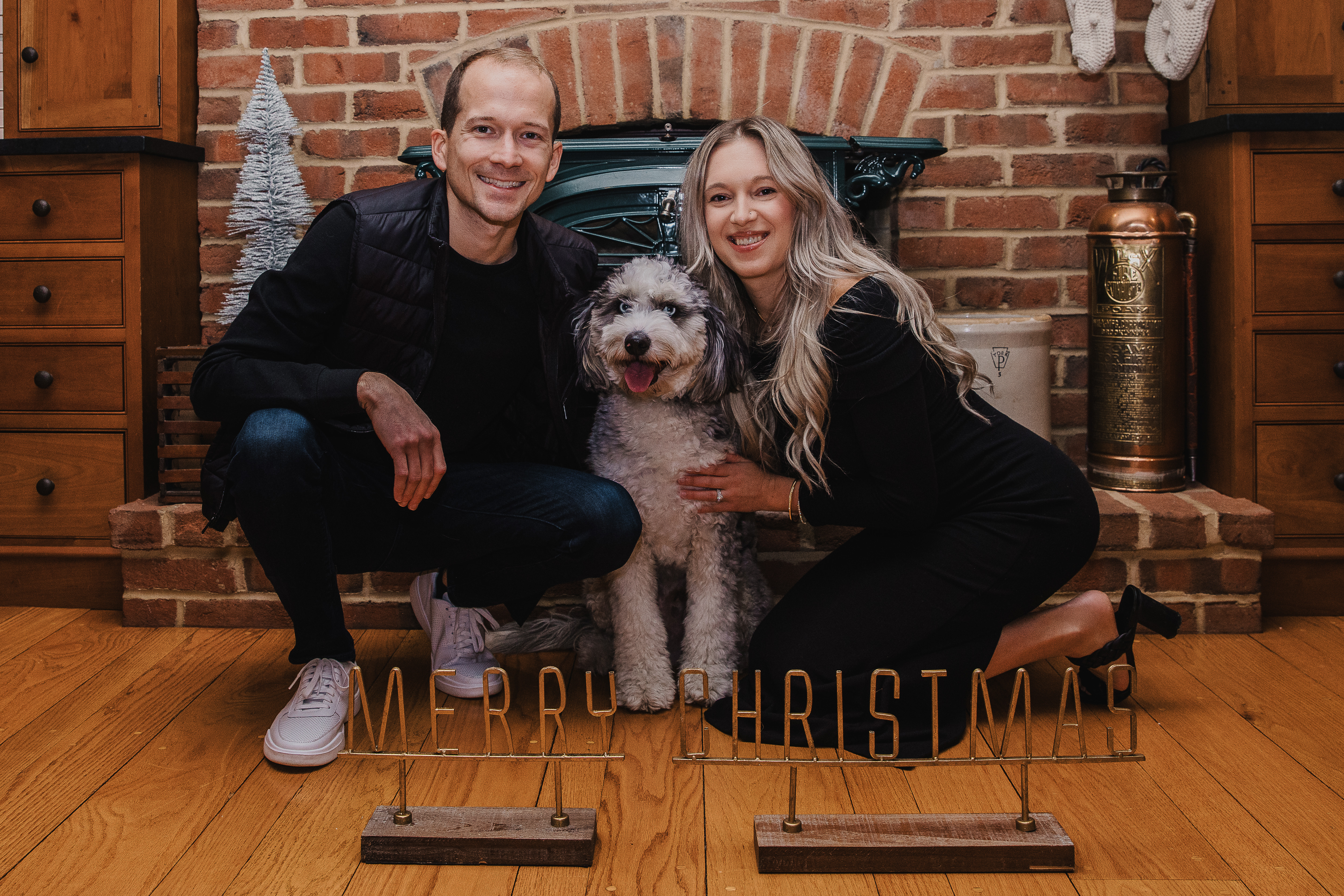 Hypoallergenic Mini Berniedoodle Poodle Mix Puppy