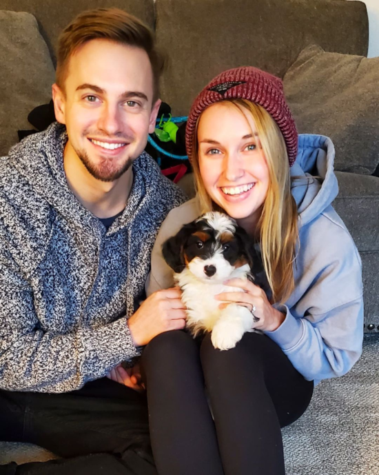 Petite Mini Bernedoodle Poodle Mix Pup