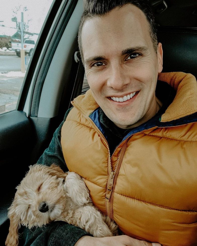 Friendly Cavapoo Pup