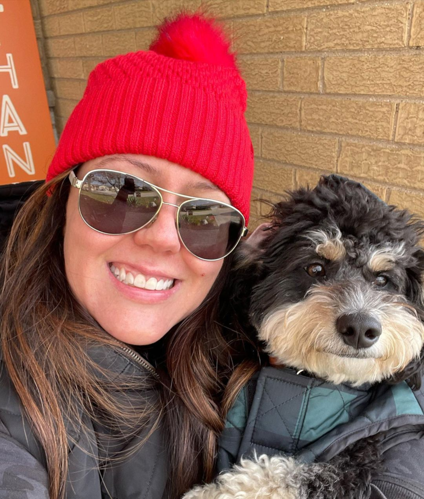 Small Mini Bernedoodle Pup