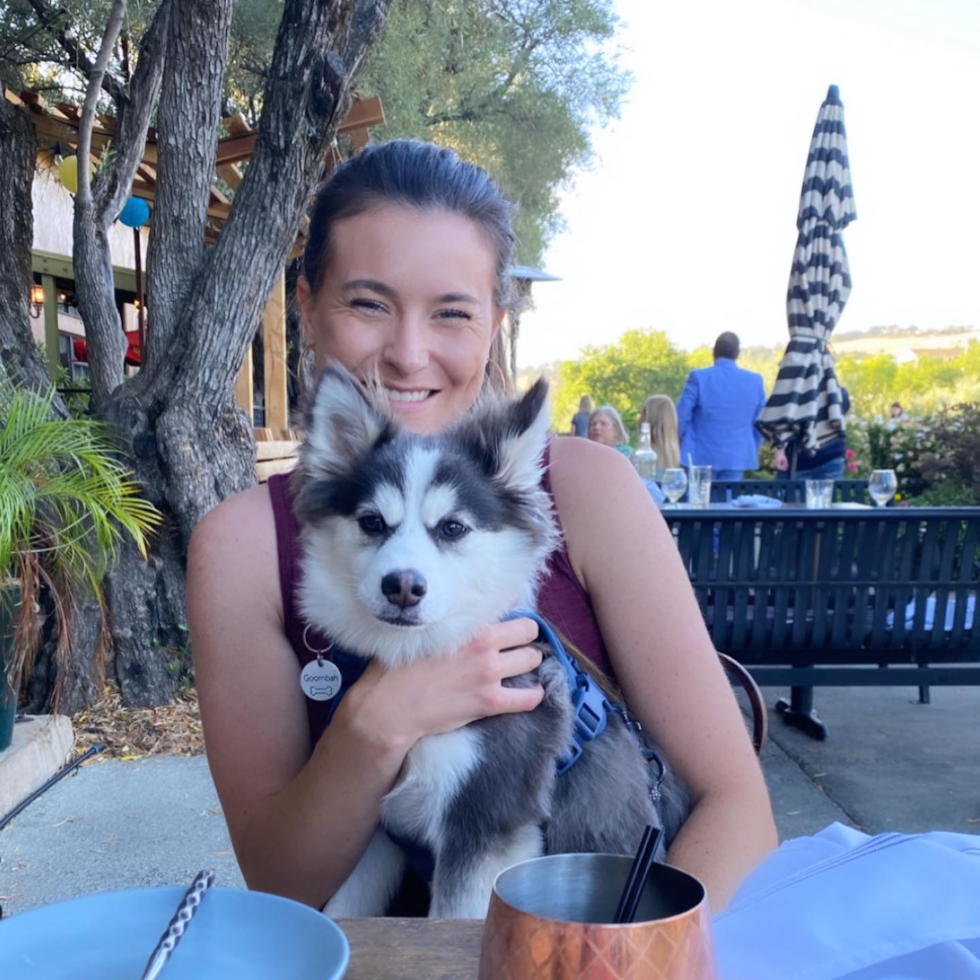 Cute Pomsky Pup