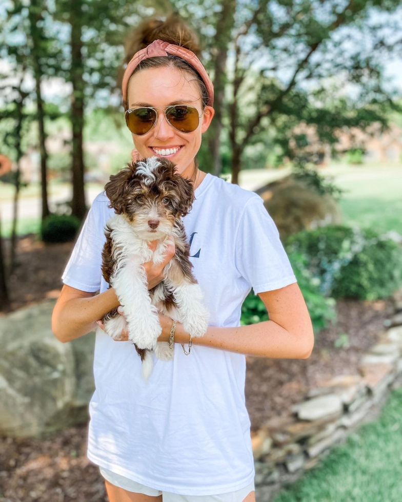 Cute Mini Aussiedoodle Pup in Greenville SC