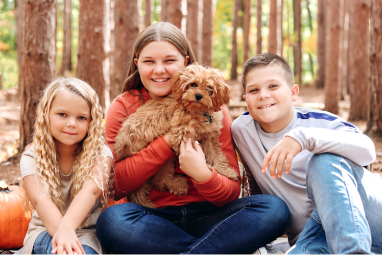 Best Cavapoo Baby