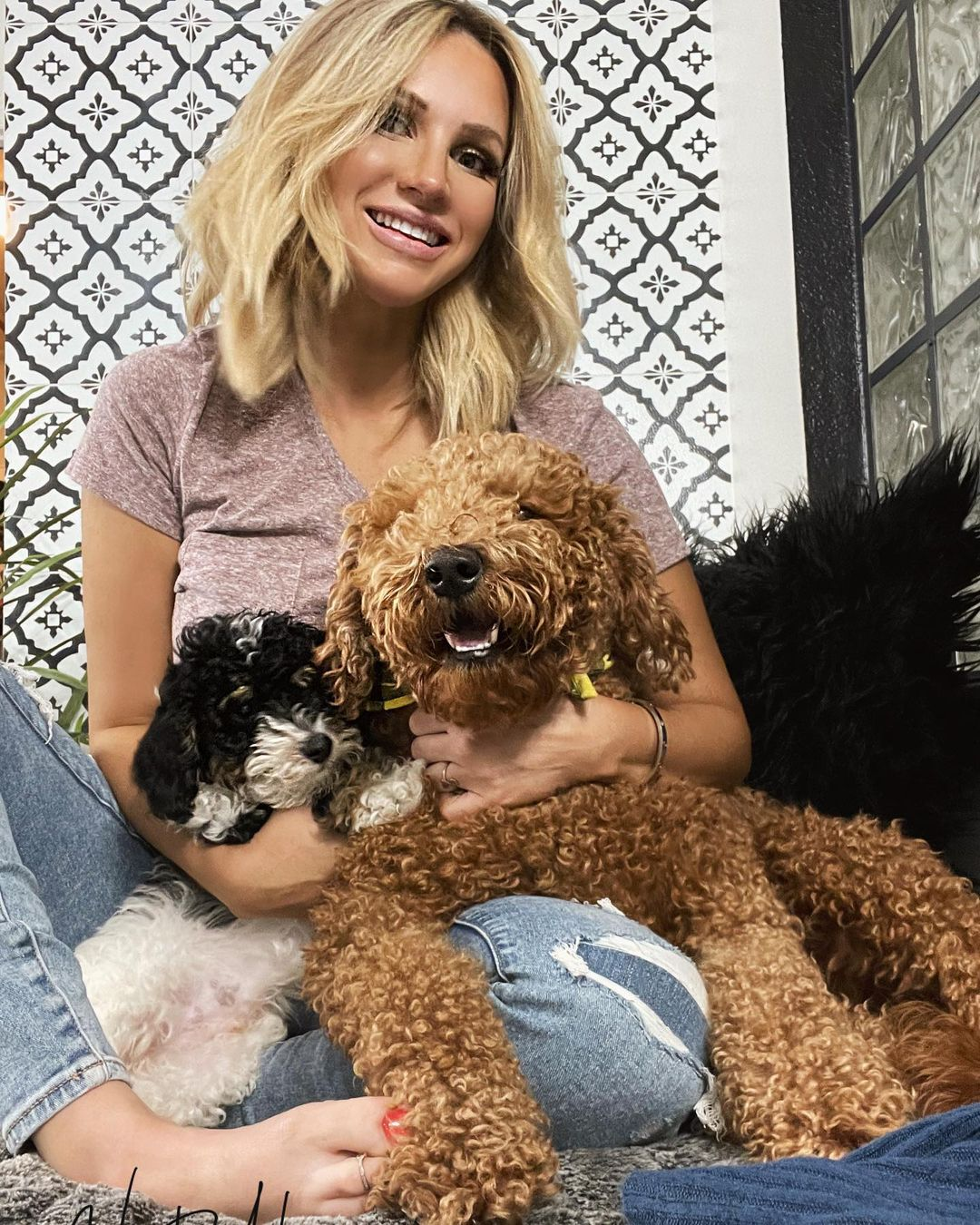 Friendly Mini Goldendoodle Baby