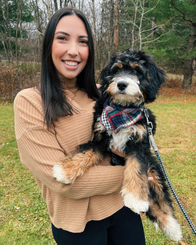 Rome Mini Bernedoodle Pup