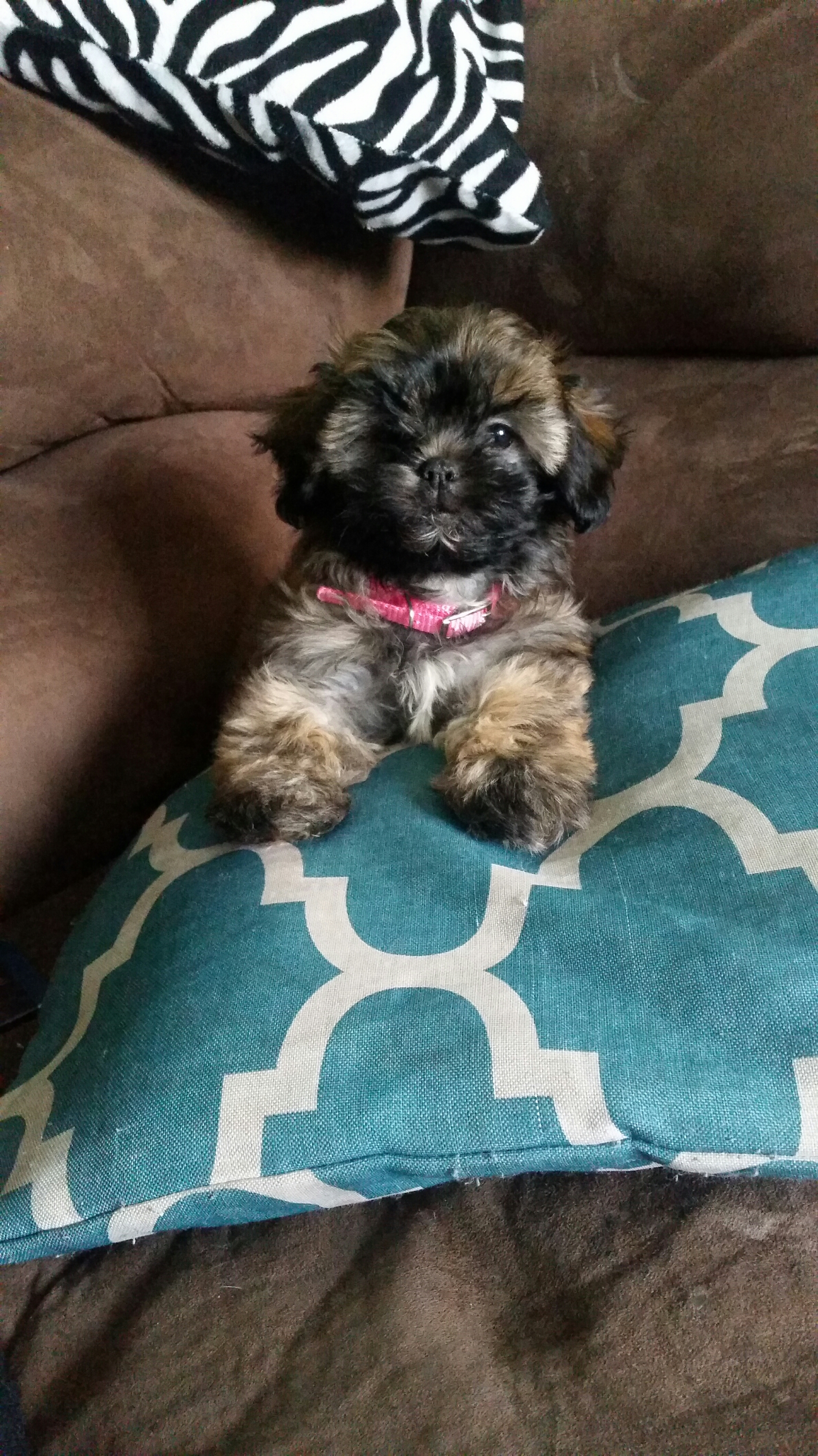 Happy Teddy Bear Baby
