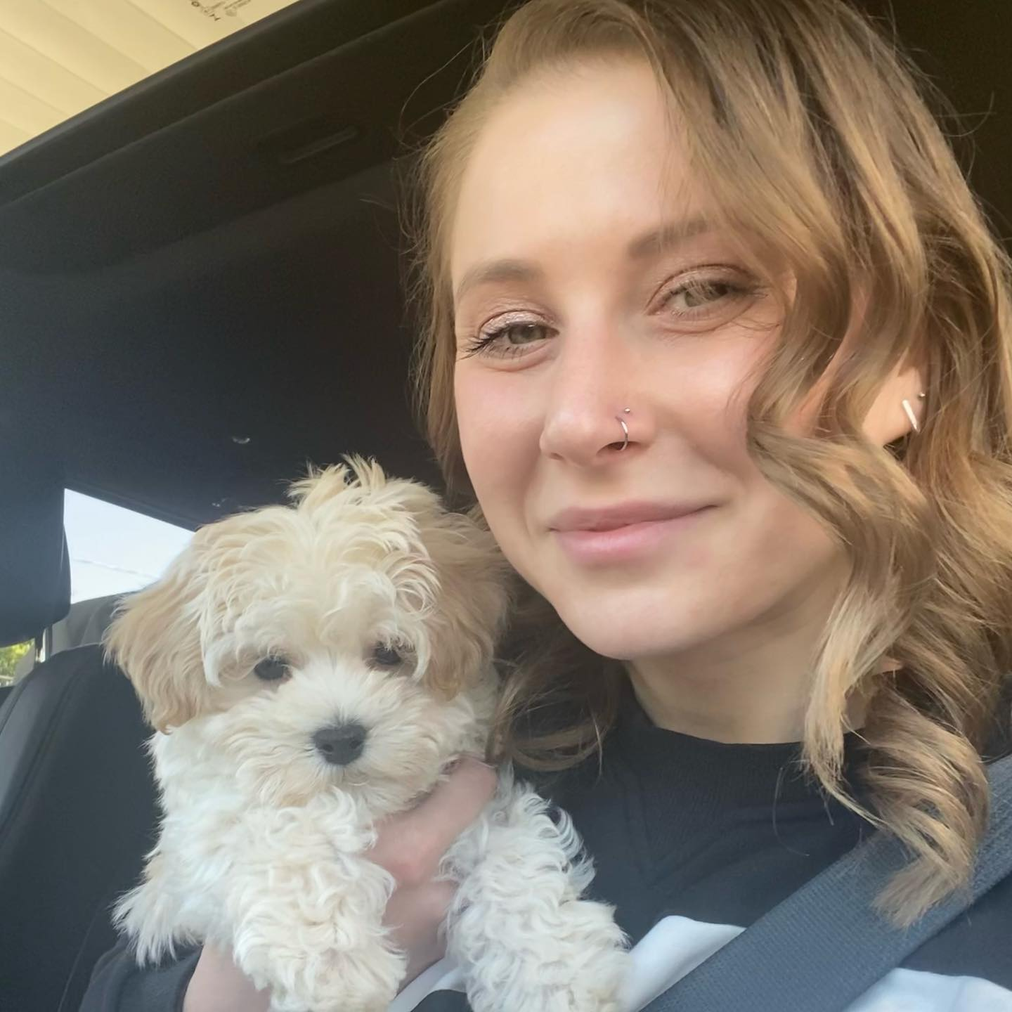 Little Maltepoo Poodle Mix Puppy