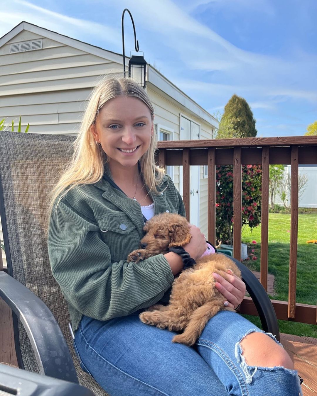 Hypoallergenic Golden Retriever Poodle Mix Puppy