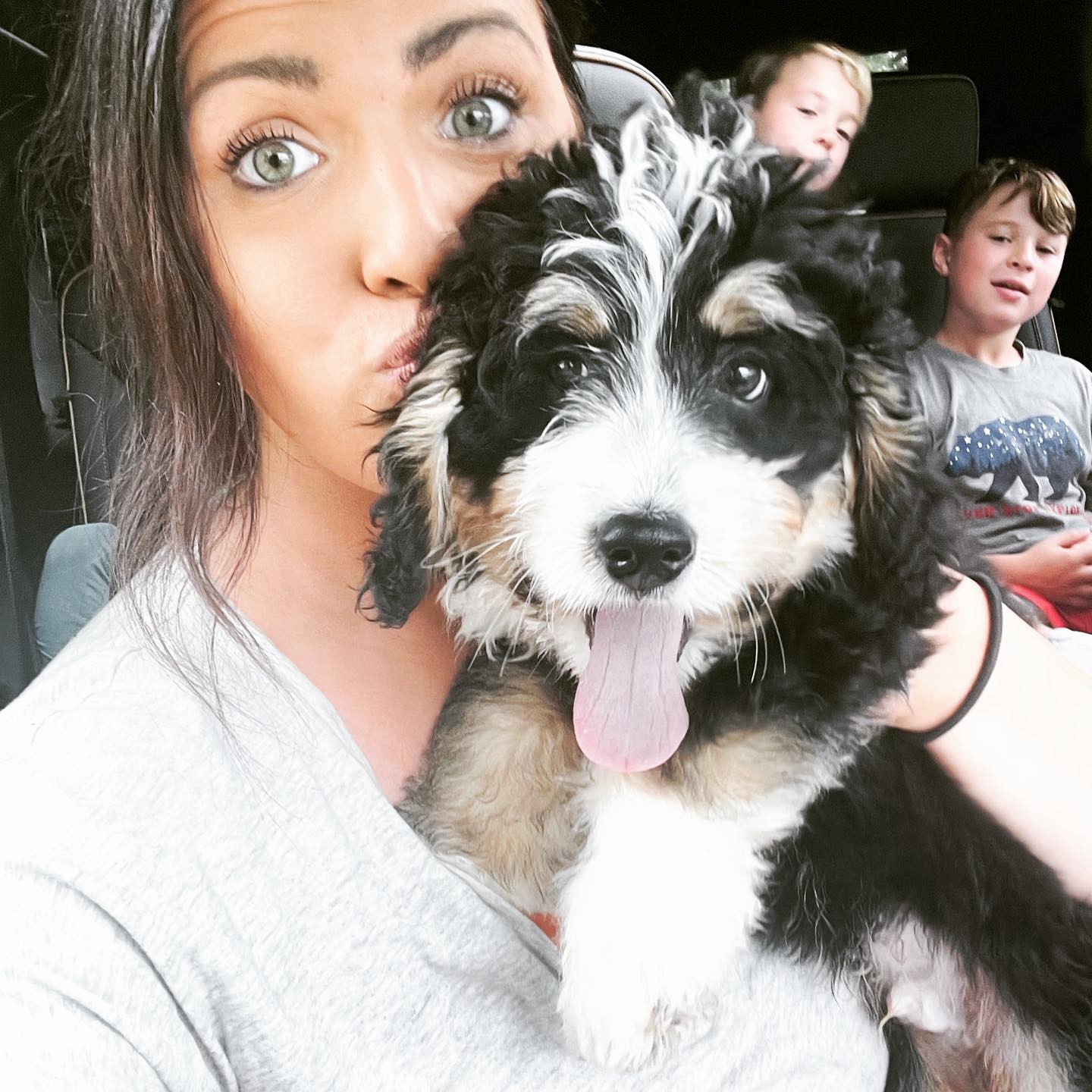 Best Mini Bernedoodle Baby