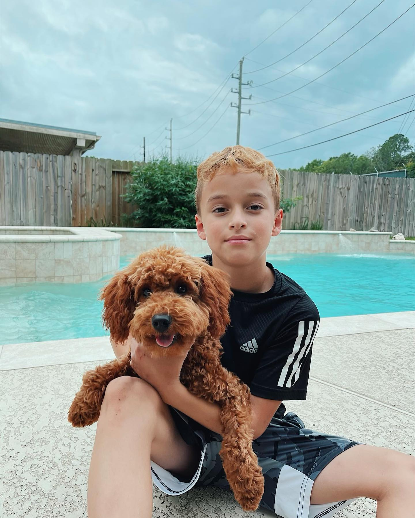 Hypoallergenic Golden Retriever Poodle Mix Puppy
