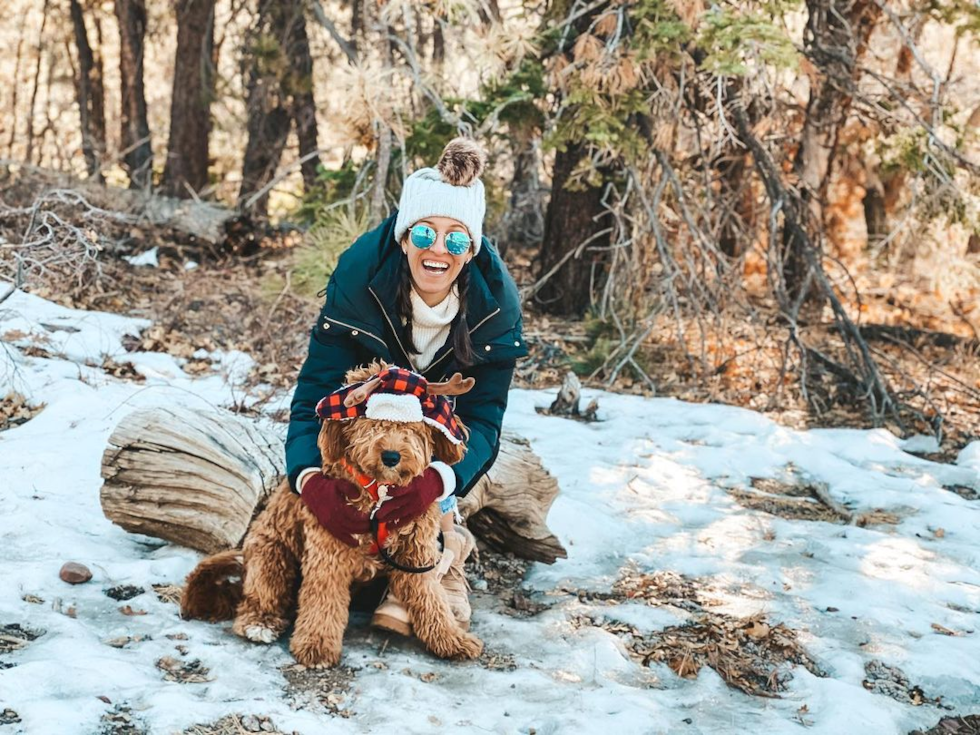 Popular Mini Goldendoodle Poodle Mix Pup