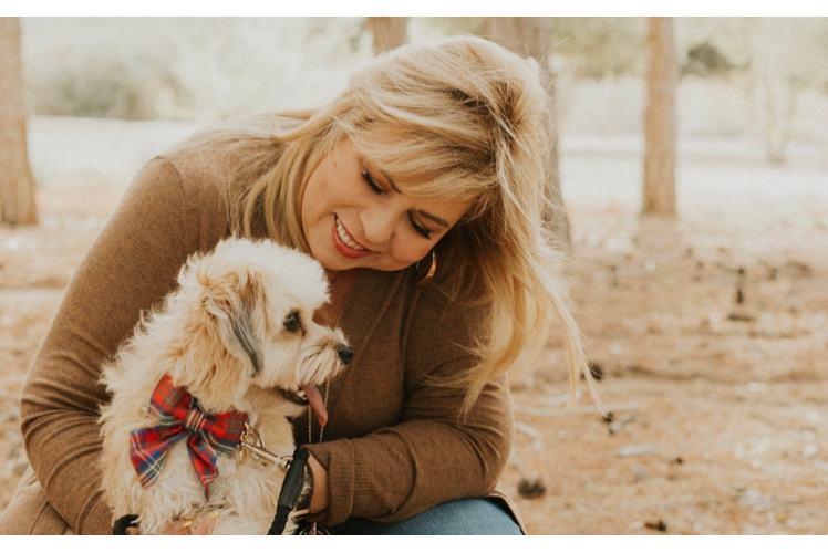 Playful Aussiepoo Poodle Mix Puppy