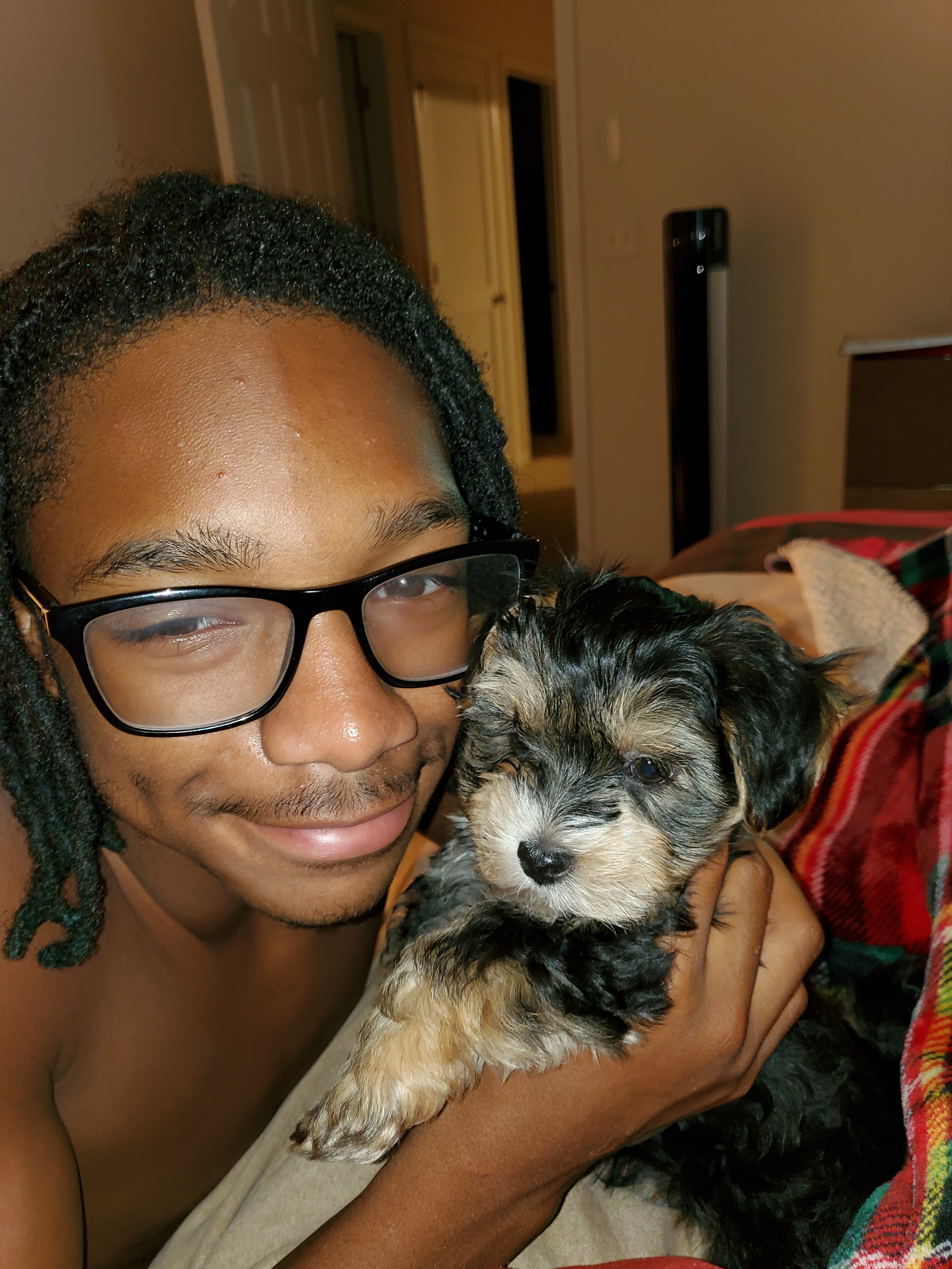 Small Morkie Baby