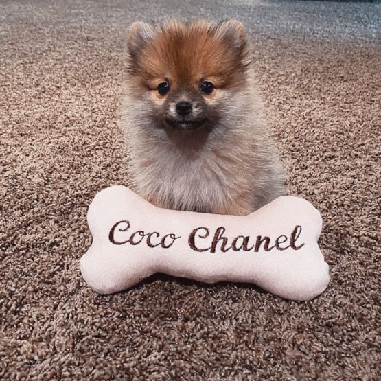 Coco