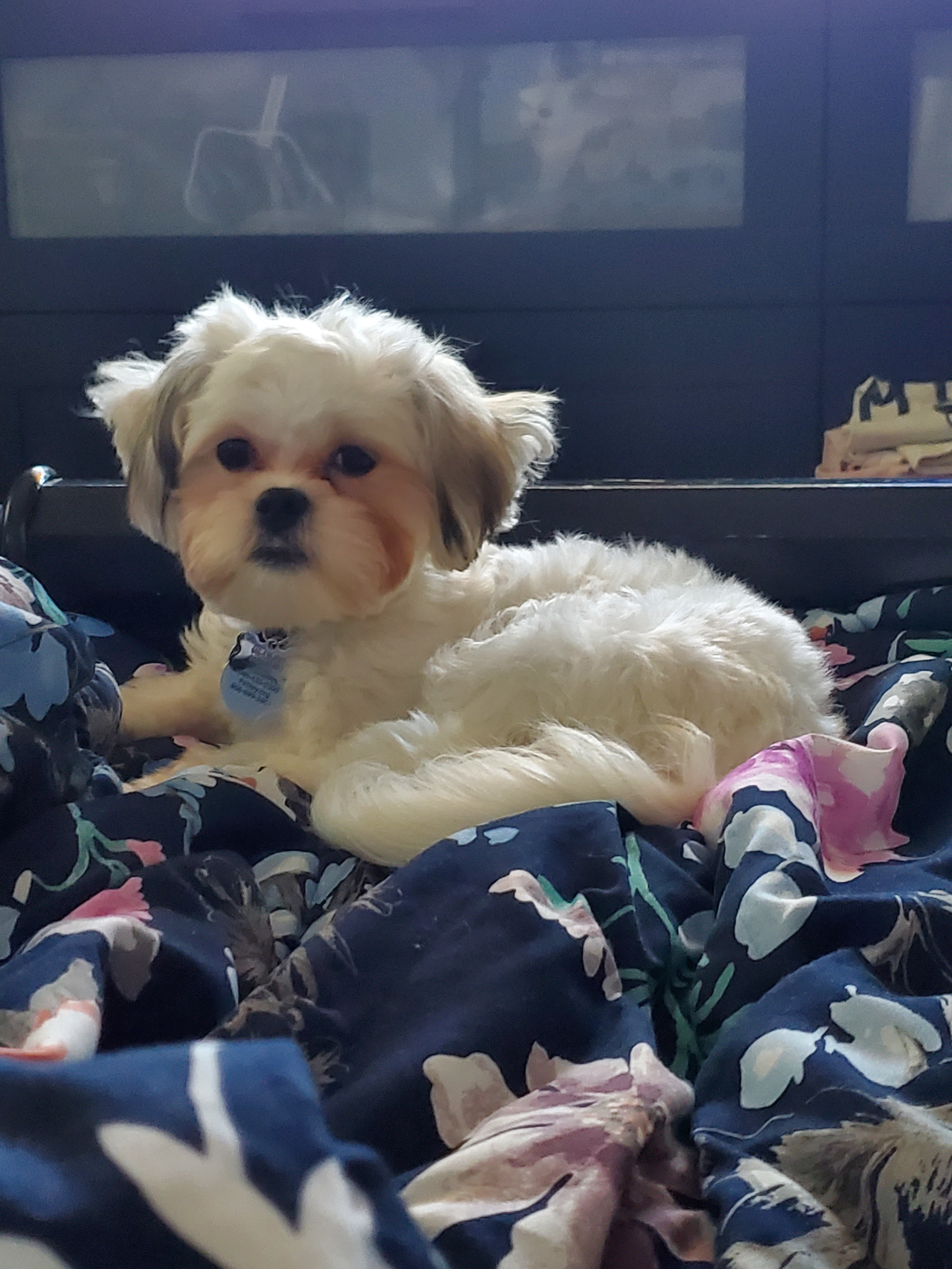 Best Teddy Bear Baby