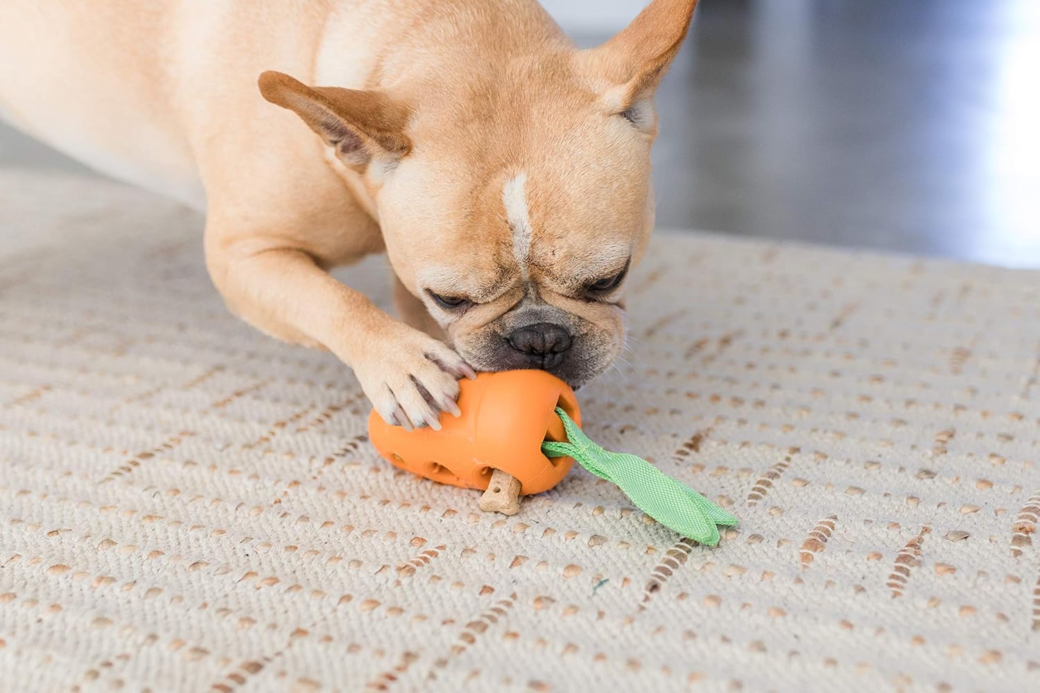 Interactive Chew Toy