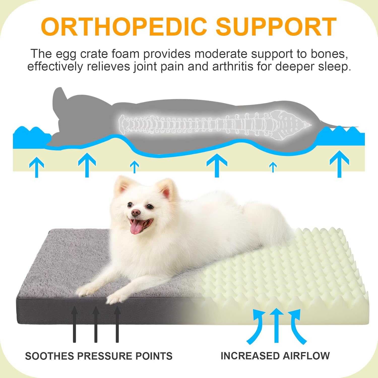 Orthopedic Bed for Crate