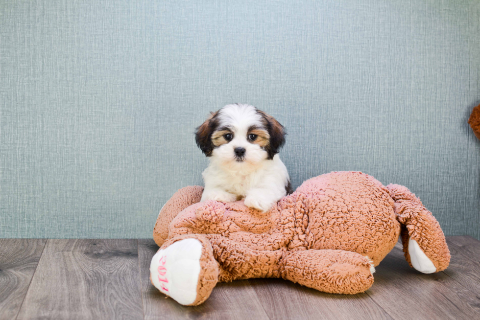 Happy Teddy Bear Baby