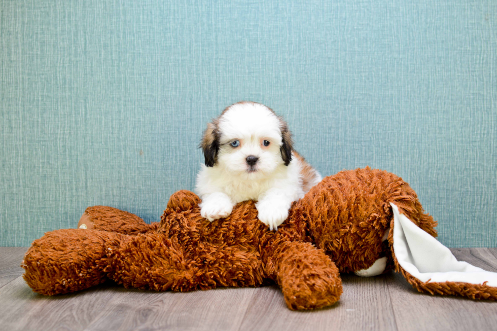 Happy Teddy Bear Baby