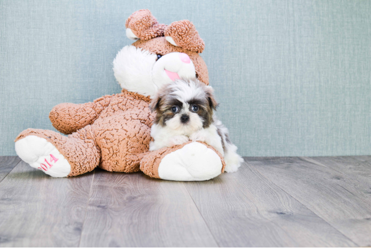 Happy Teddy Bear Baby