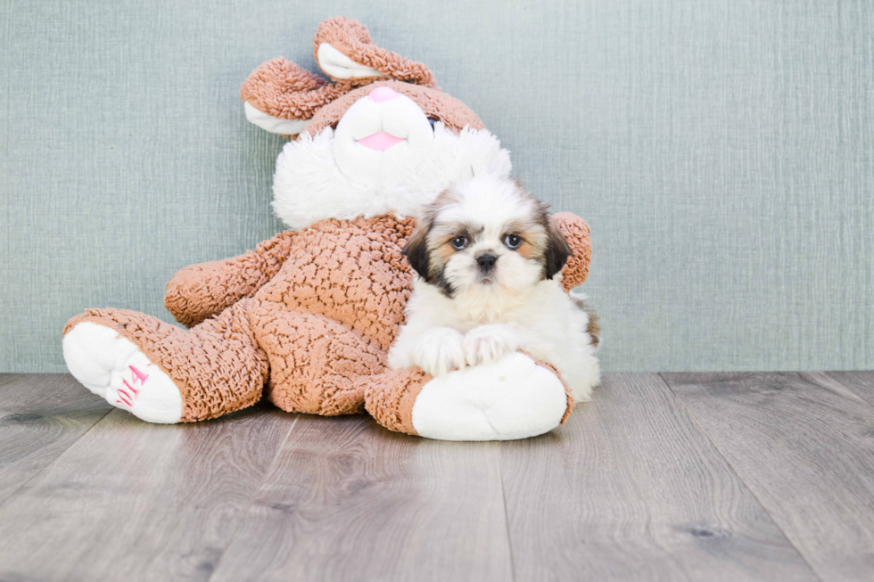 Happy Teddy Bear Baby