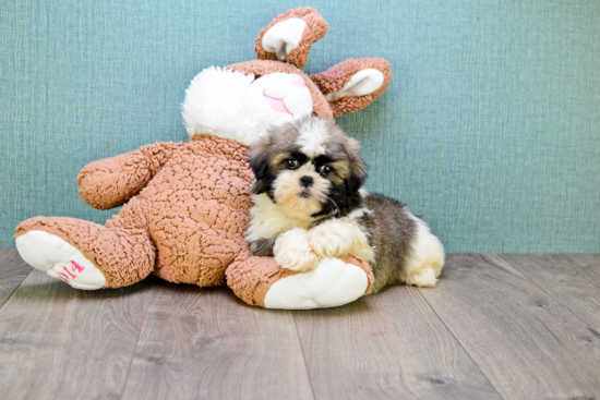 Friendly Teddy Bear Baby