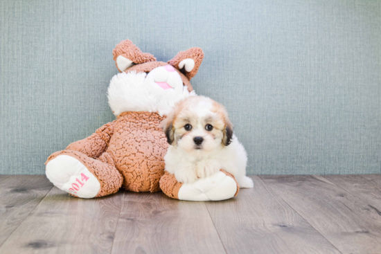 Friendly Teddy Bear Baby