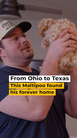 Premier Pups We love when our Premier Pups families experience their puppy pick-up day right here at our Ohio location 🐶