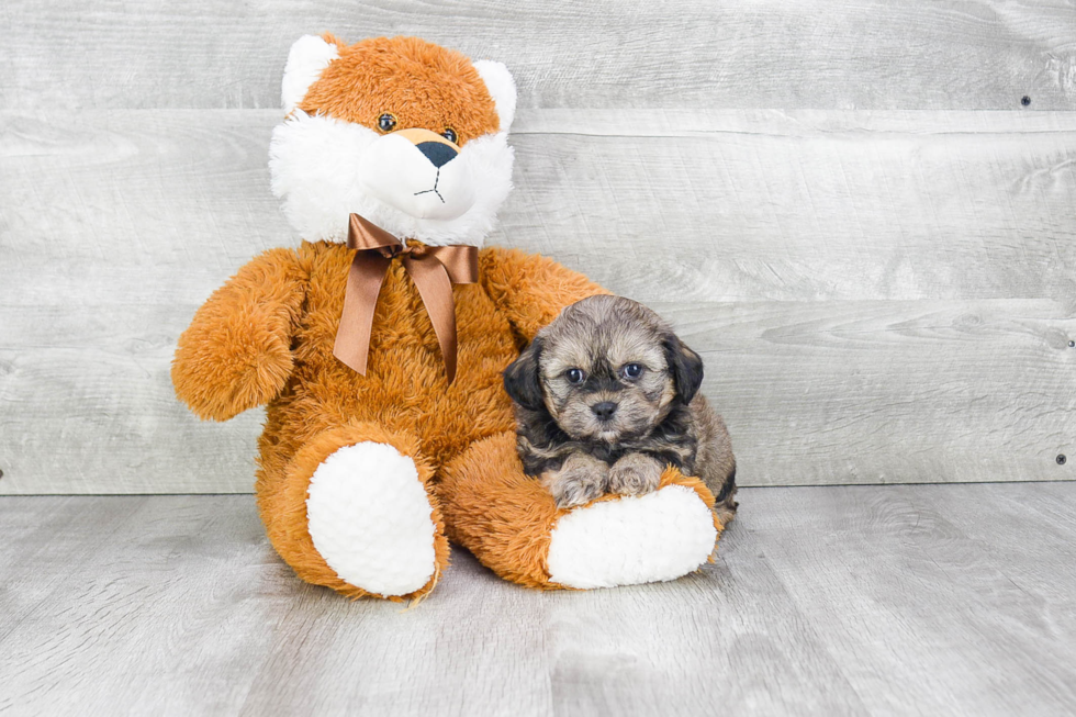 Best Teddy Bear Baby