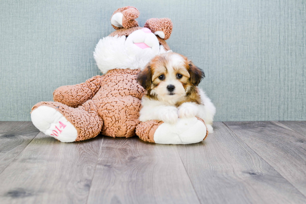 Happy Teddy Bear Baby