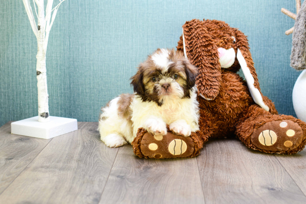 Small Teddy Bear Baby