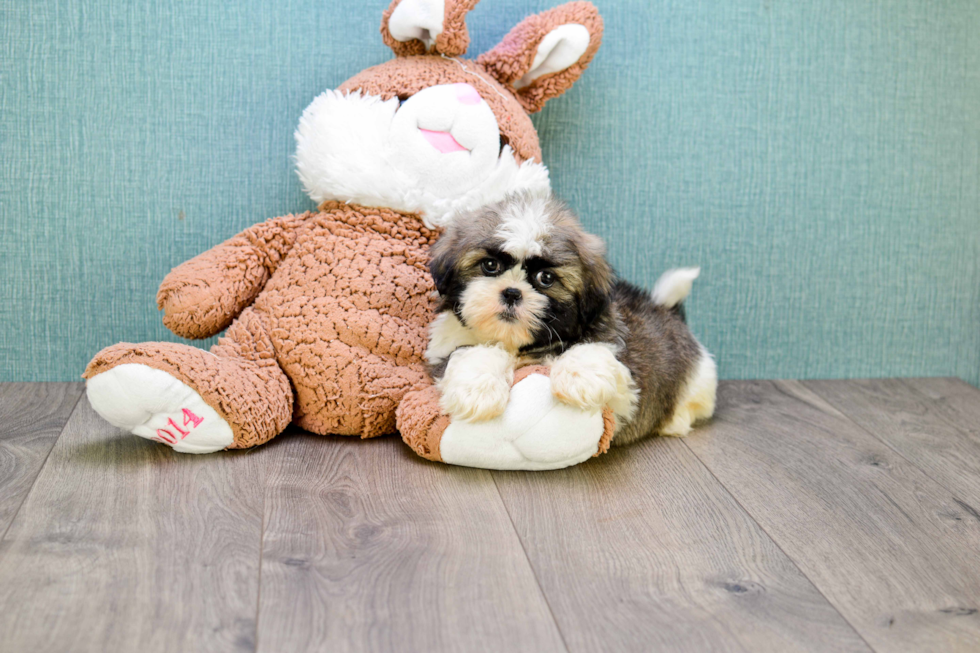 Happy Teddy Bear Baby