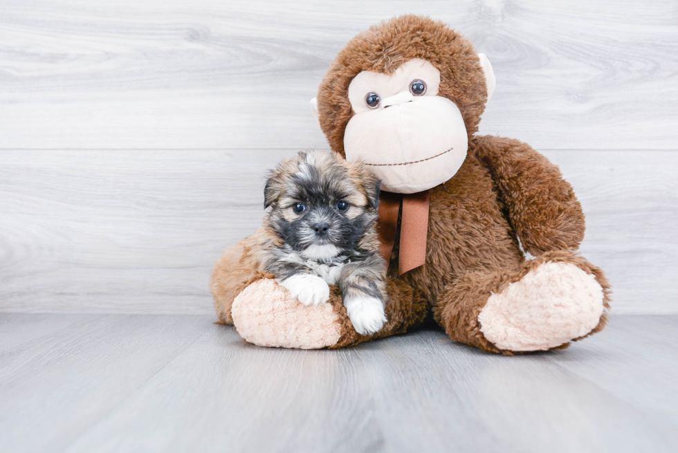 Best Teddy Bear Baby