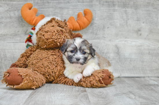 Friendly Teddy Bear Baby