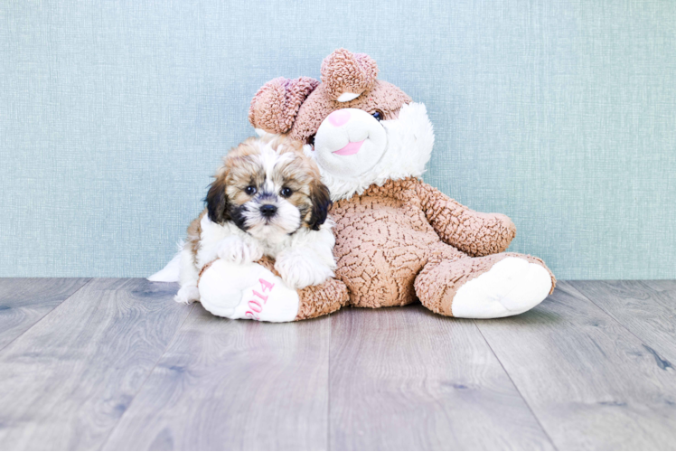 Happy Teddy Bear Baby