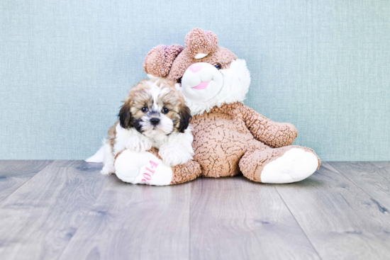 Happy Teddy Bear Baby