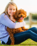 Smart Cockapoo Pup