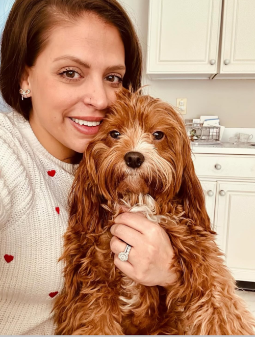Premier Pups Biscotti the Cavapoo Puppy has been busy living his best life for the last 4 years Trending Video