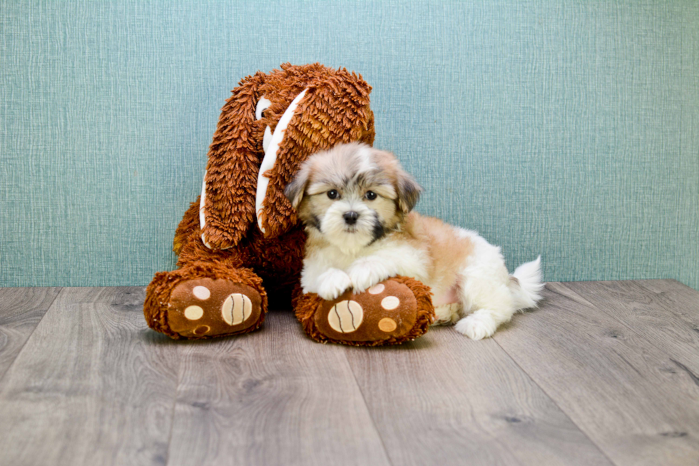 Friendly Teddy Bear Baby