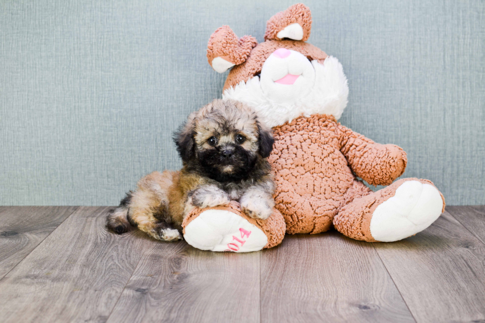 Best Teddy Bear Baby