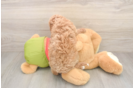 Popular Cavapoo Poodle Mix Pup